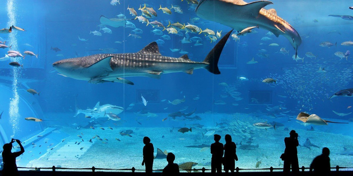 Paris Aquarium - Best events, places, things to do near me ...