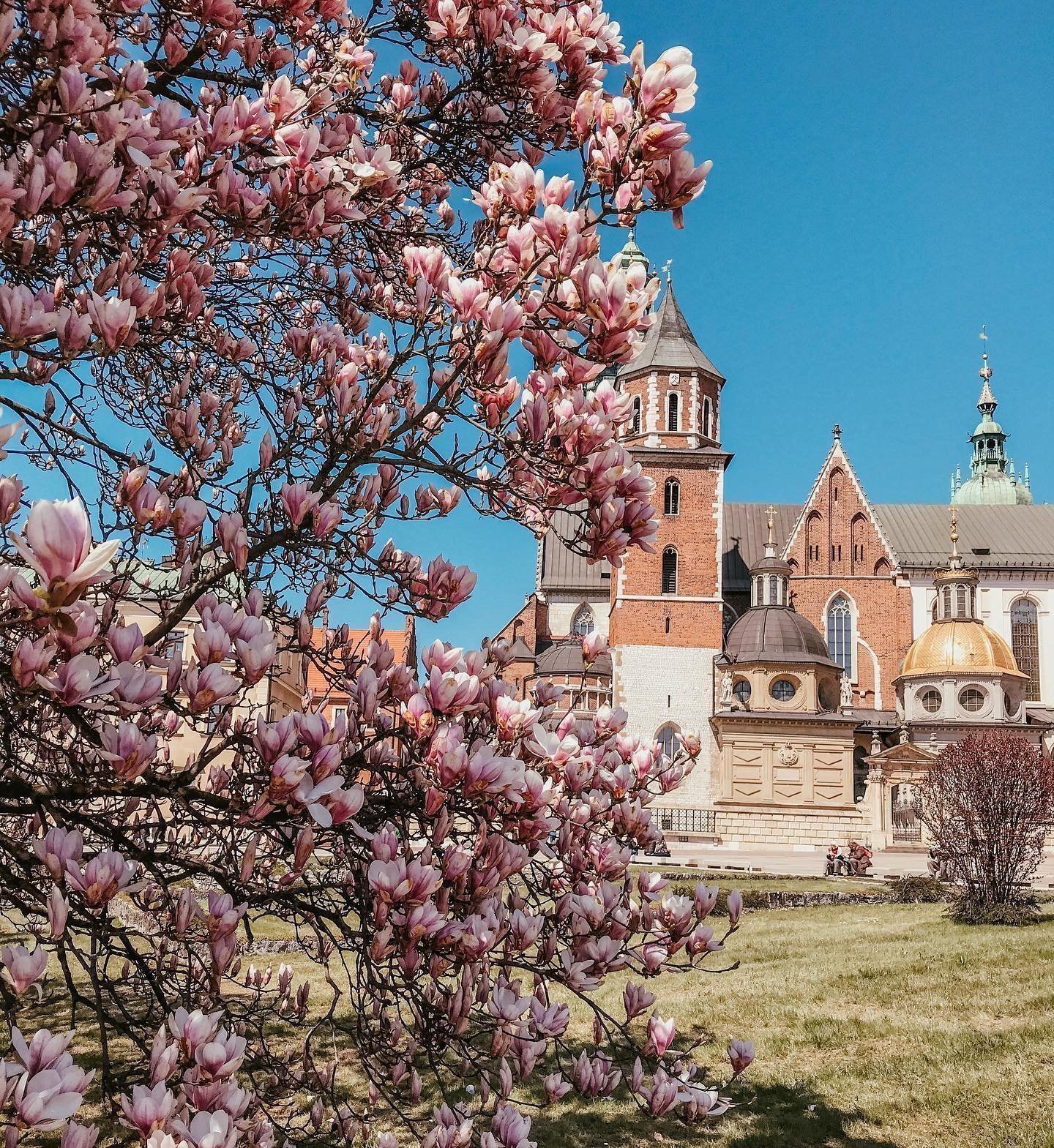 Wawel Castle and Royal Gardens